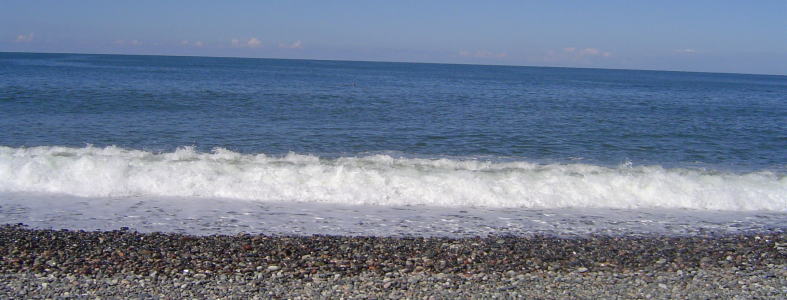 黒海のビーチ